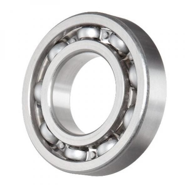 SKF Cylindrical Roller Bearing Nup202/203/204/205/206/207/208/209/210/211/212/213/214/215 #1 image